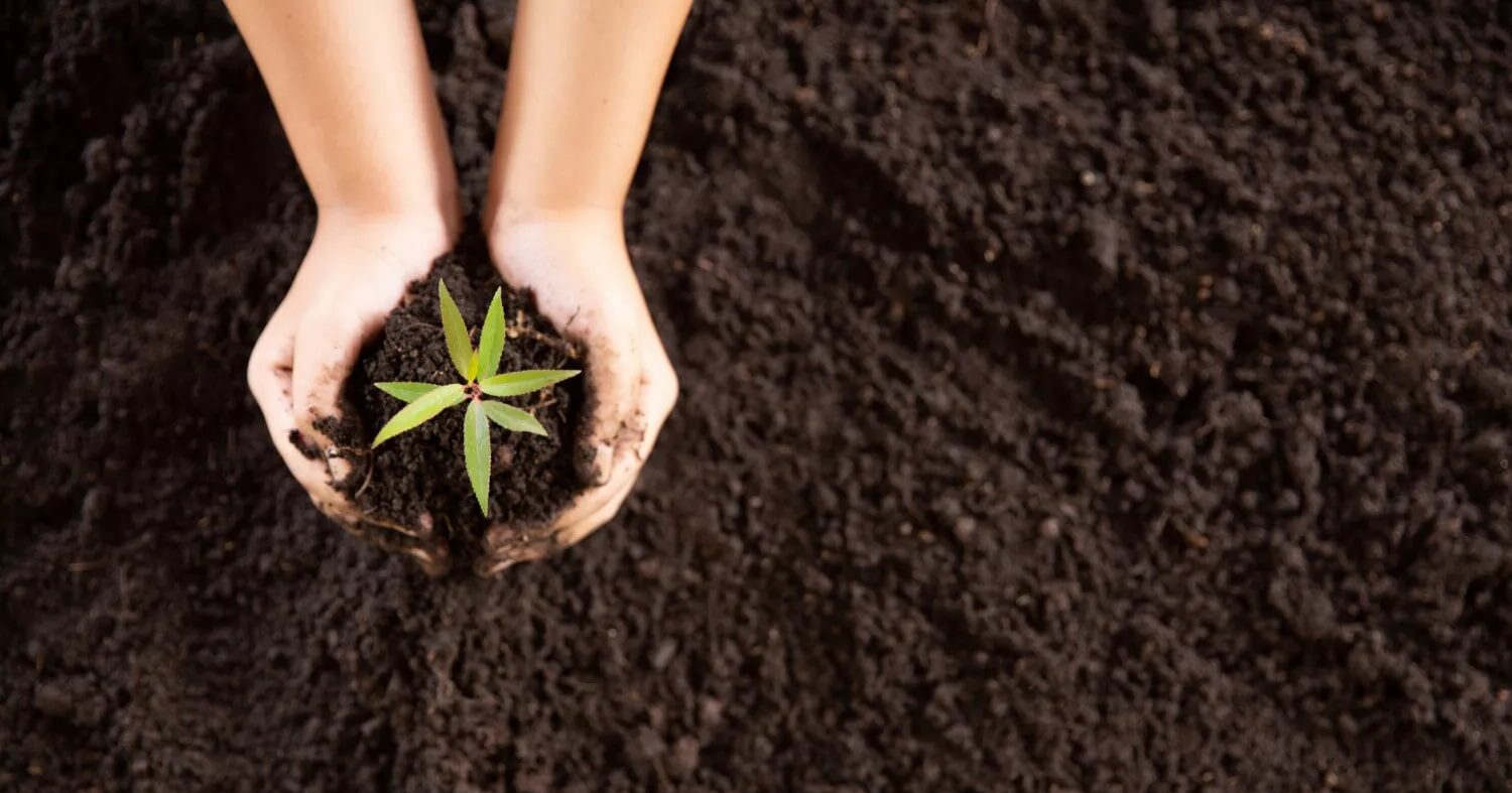 Carbono: SoluBio apresenta case de sucesso