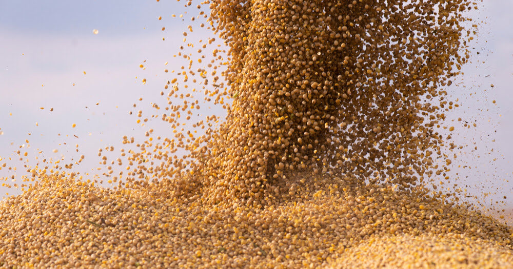 DATAGRO projeta recorde de valor na exportações do complexo soja brasileiro em 2022