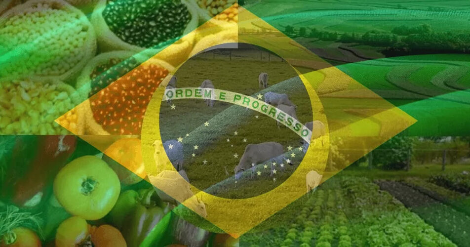 Estudo mapeia mais de 1000 investidores interessados no agro brasileiro