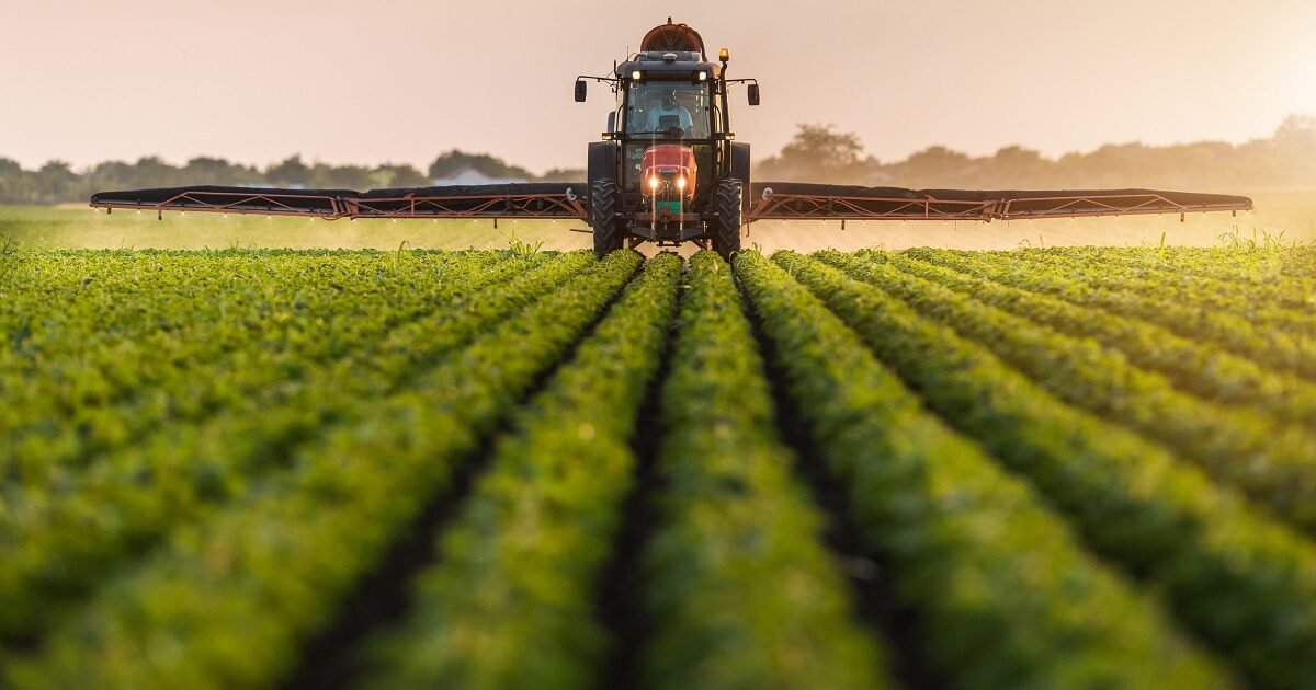 Pela segunda vez, Armero é fungicida campeão em produtividade