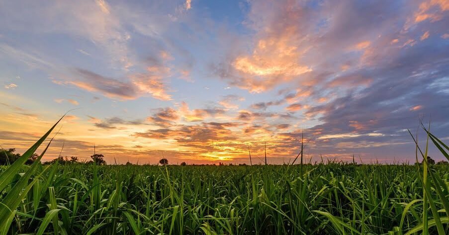 Holding Go Exper une maiores empresas de soluções microbiológicas