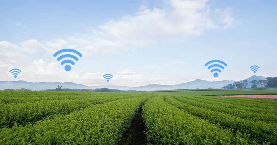 Internet Rural: 5 motivos para conectar sua fazenda