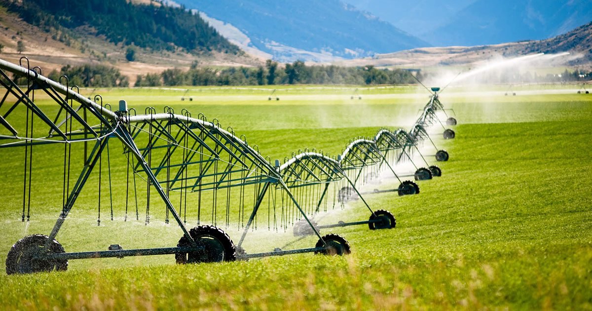 O primeiro dia nacional da irrigação; entenda benefícios da técnica