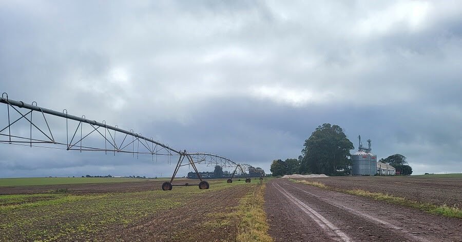 Agricultura irrigada e sua importância na produção de alimento