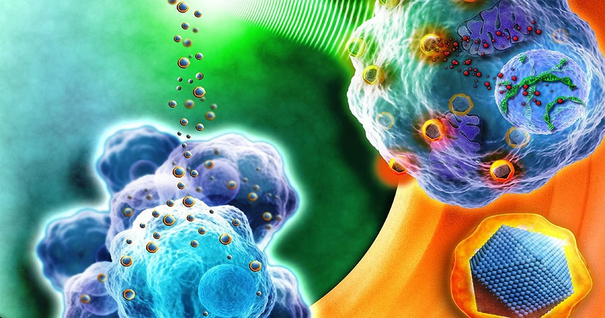 Nanopesticidas e nanofertilizantes são ferramentas para sustentabilidade