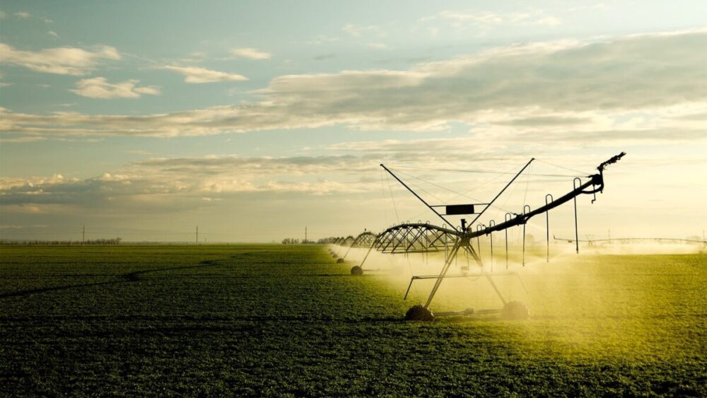 Mitre Agro investe R$ 293 milhões na expansão da irrigação na agricultura