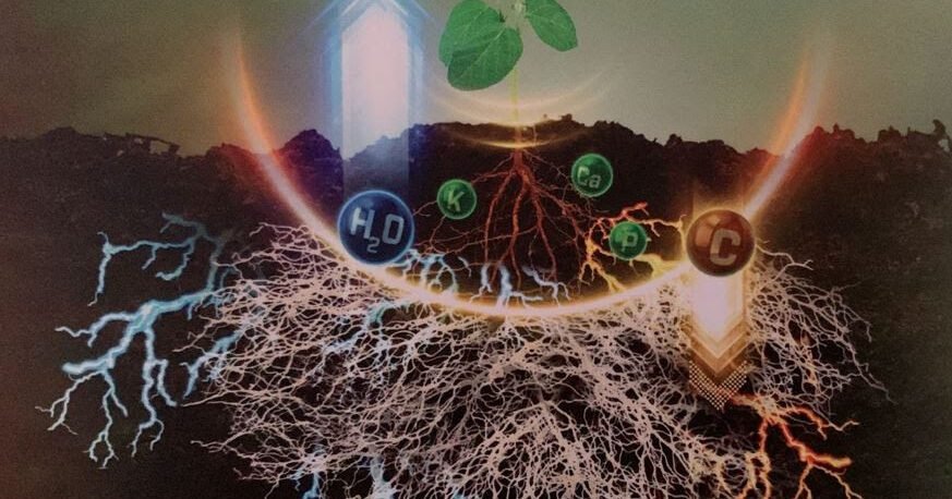 Sumitomo Chemical lança soluções de maior tolerância à seca