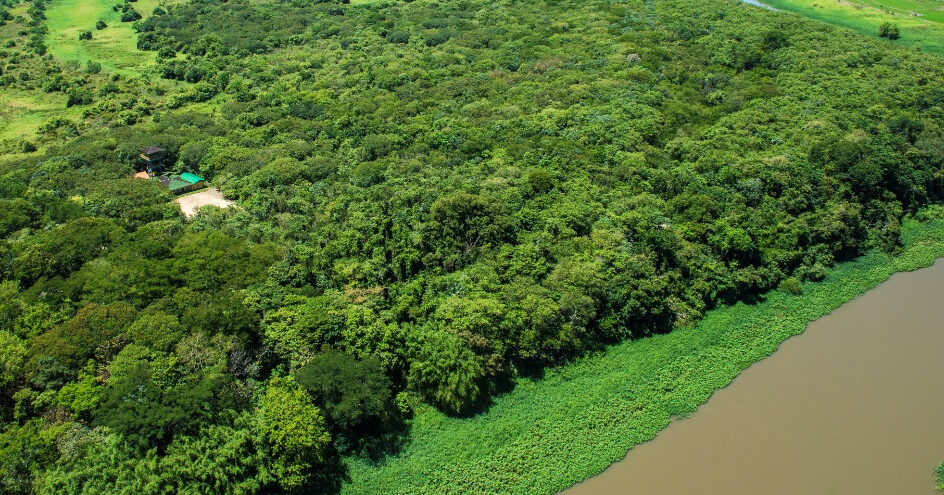 BASF reforça seu compromisso com a sustentabilidade na sociedade