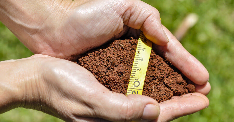 Nova regra aperfeiçoa o Zoneamento Agrícola de Risco Climático (Zarc)