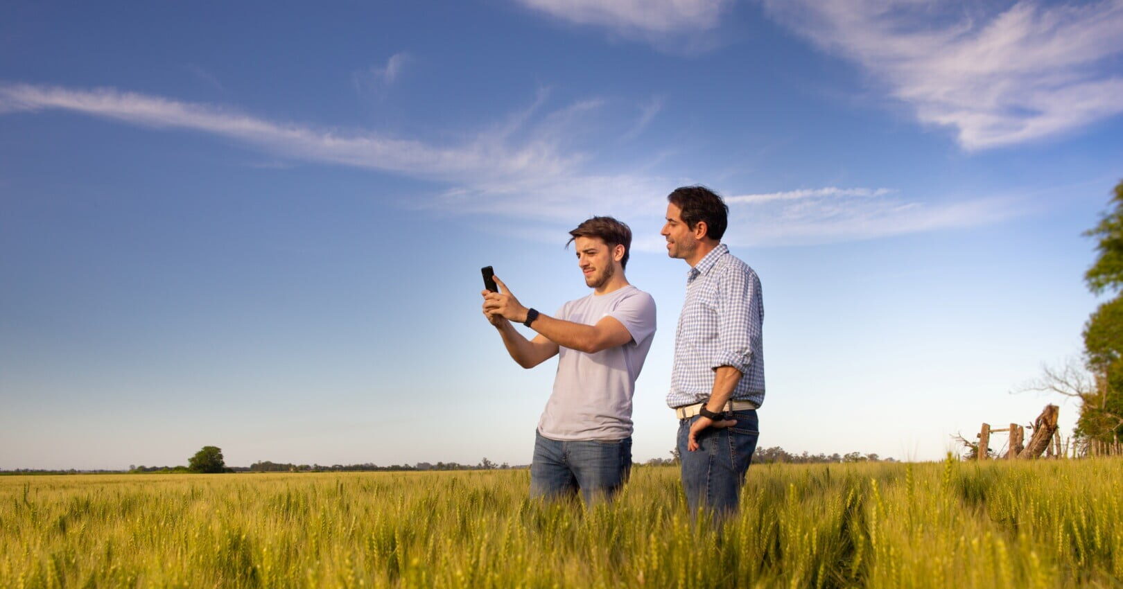 Climate FieldView™ promove aula sobre otimização de insumos e gestão