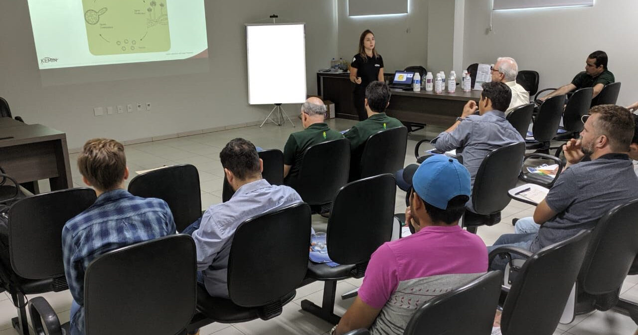 Capacitação da Kemin compartilha expertise com fábricas de ração