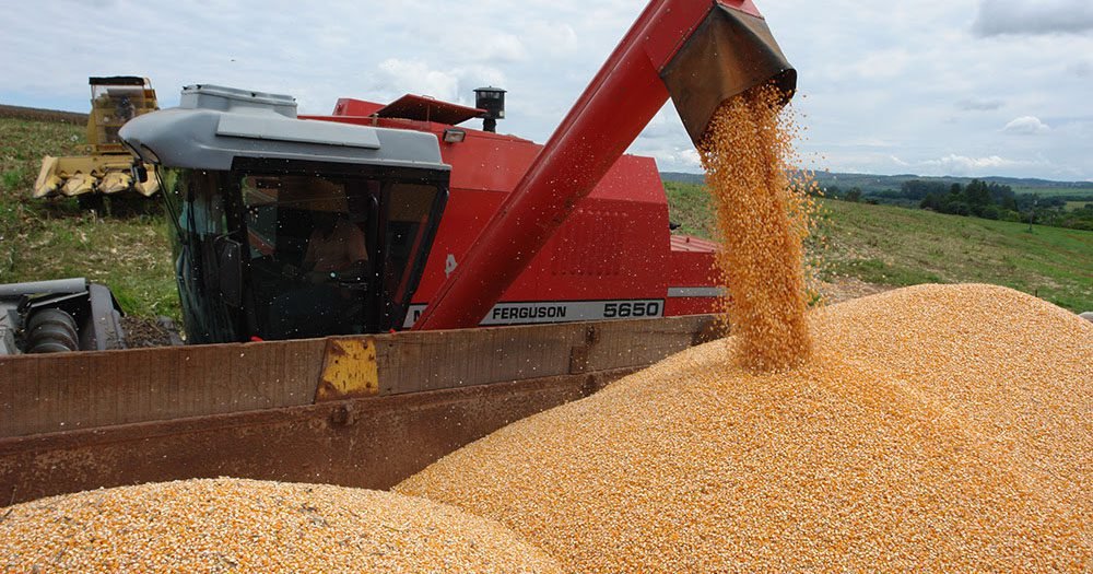 Congresso de Milho e Sorgo: fertilizantes e futuro de commodities em debate