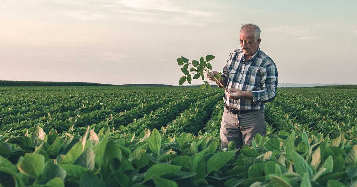 Agronegócio, saúde e tecnologia lideram demanda por cursos