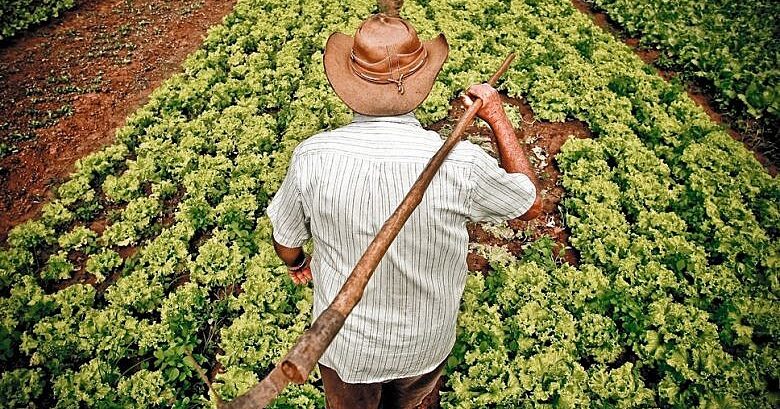 Indústria da cerveja estimula o desenvolvimento sustentável na agricultura familiar
