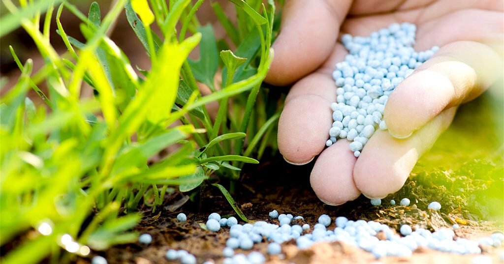 Para Abinpet, “PL do Autocontrole” pode modernizar cadeia agropecuária com maior responsabilidade dos fabricantes de insumos