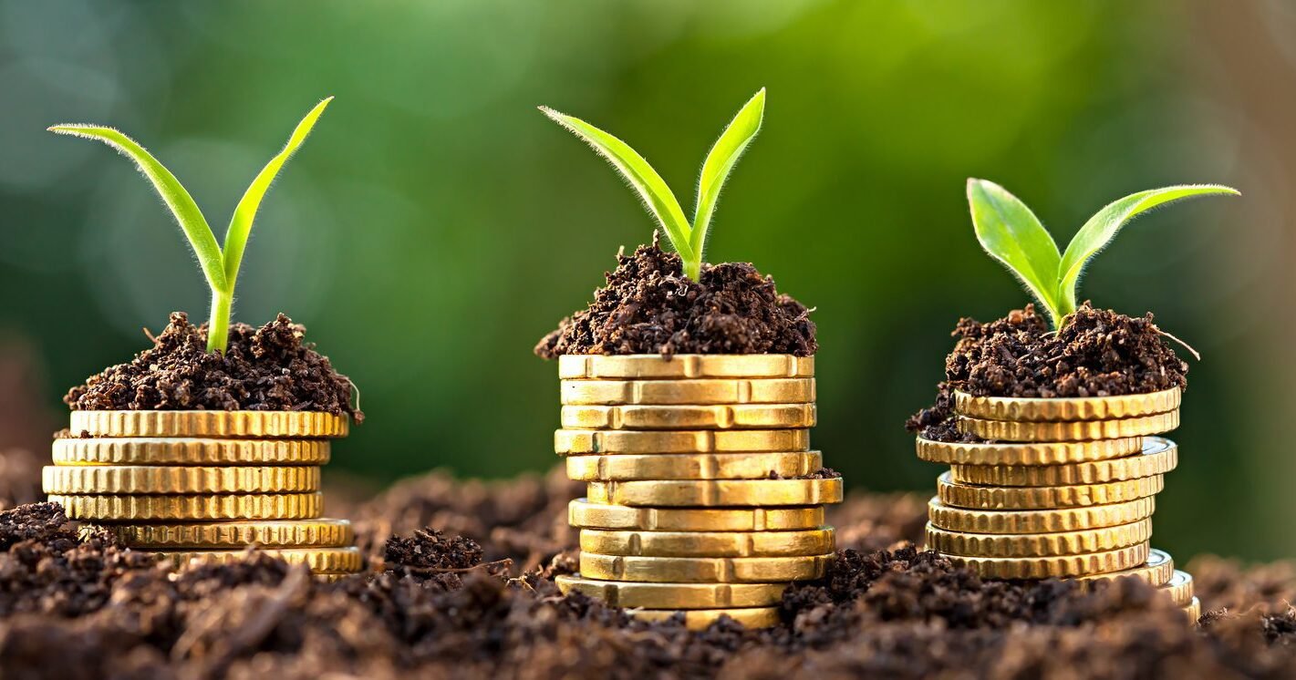 O agro terá investimento de R$ 340,9 bilhões do MAPA na próxima safra