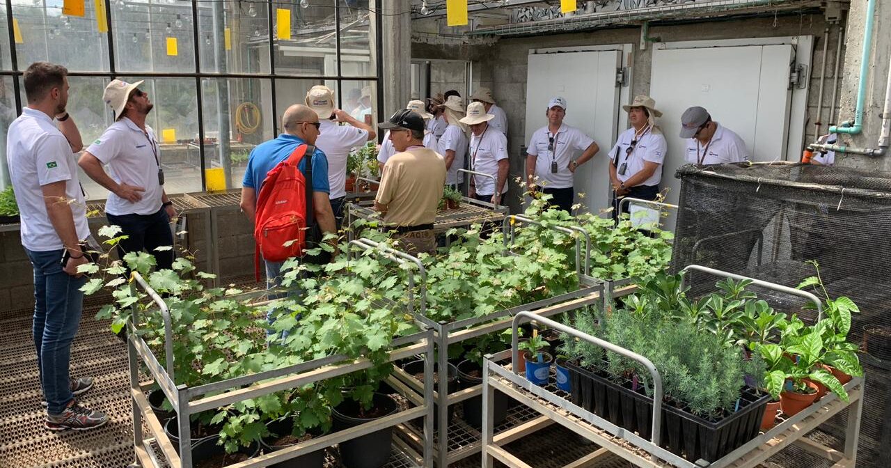 Instituto de Inovação Israelense realiza série de visitas pelas Unidades da APTA de olho em parcerias de pesquisa para o agro