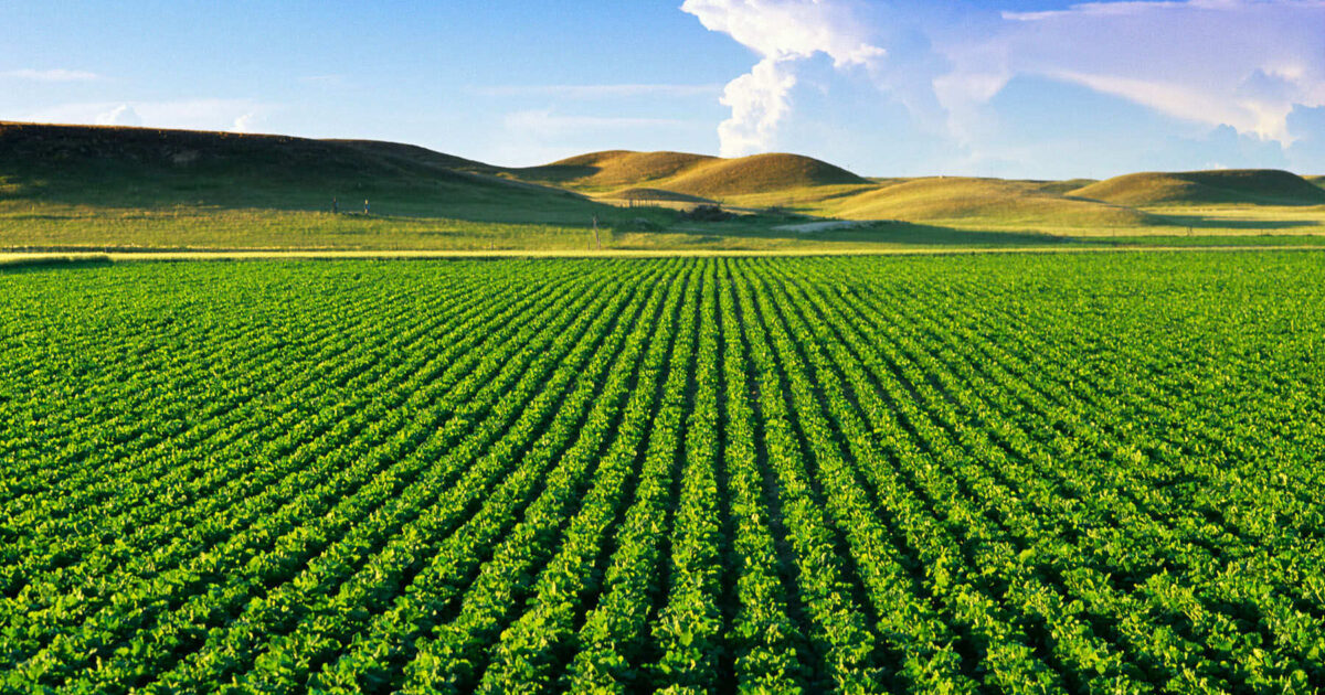 Agfintech contabiliza carteira de 100 milhões de crédito e inadimplência menor que os bancos tradicionais