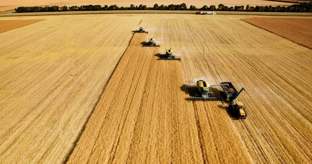 FAESP: Plano Safra foi positivo, mas a agropecuária precisa de recursos