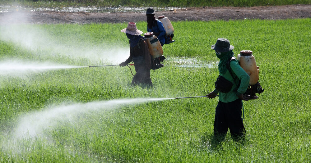 Entenda a diferença entre perigo e risco de pesticidas
