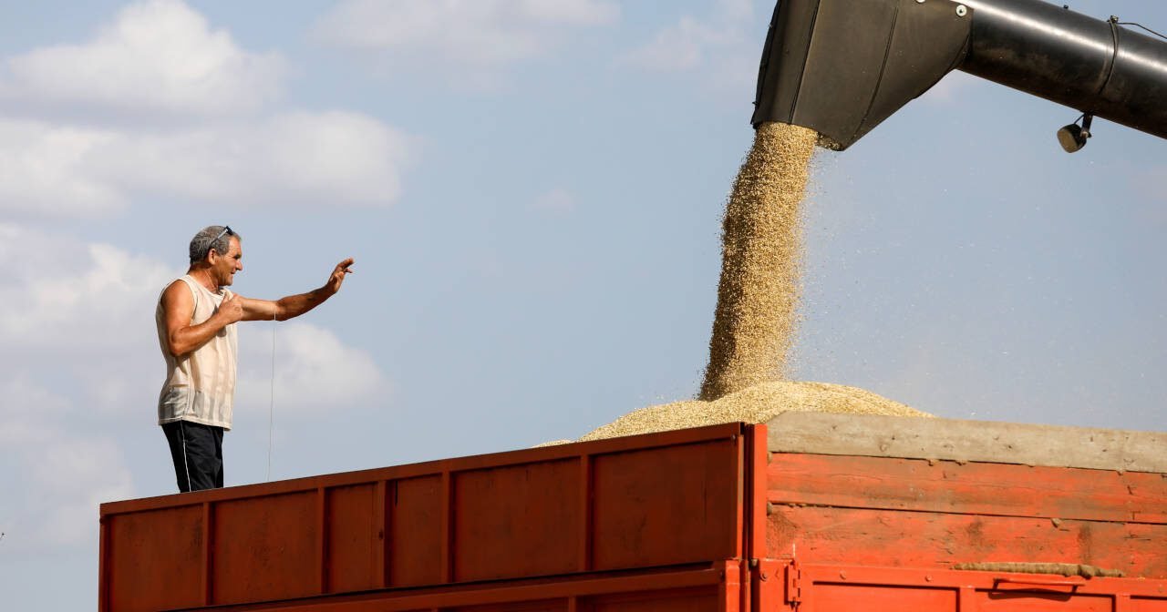 Fundamentos apontam para estoques apertados de trigo na Europa, diz hEDGEpoint Global Markets