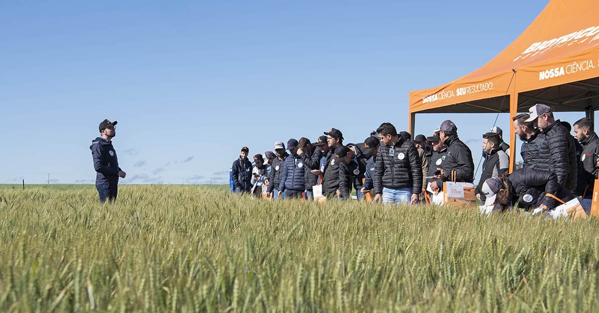 Novas tecnologias em busca de mais rendimento e segurança na cultura do trigo