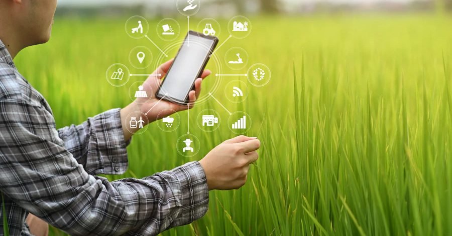 O poder da Inteligência Artificial no agronegócio