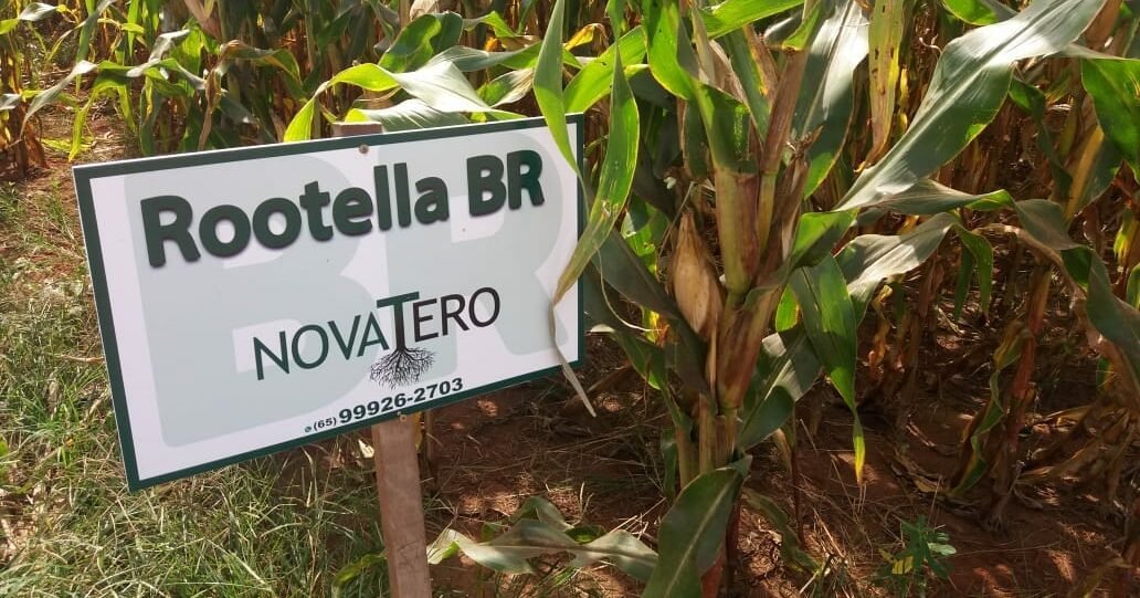 Israelense Groundwork adquire parte da Brasileira Novatero