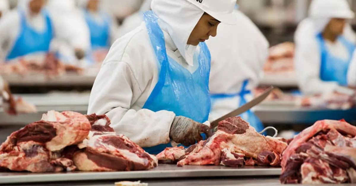 Exportações brasileiras de carne bovina têm crescimento de 45,5% na receita até julho