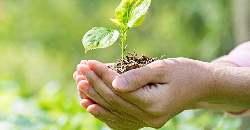 Corteva Agriscience destaca Boas Práticas Agrícolas no XII Congresso Brasileiro do Arroz Irrigado