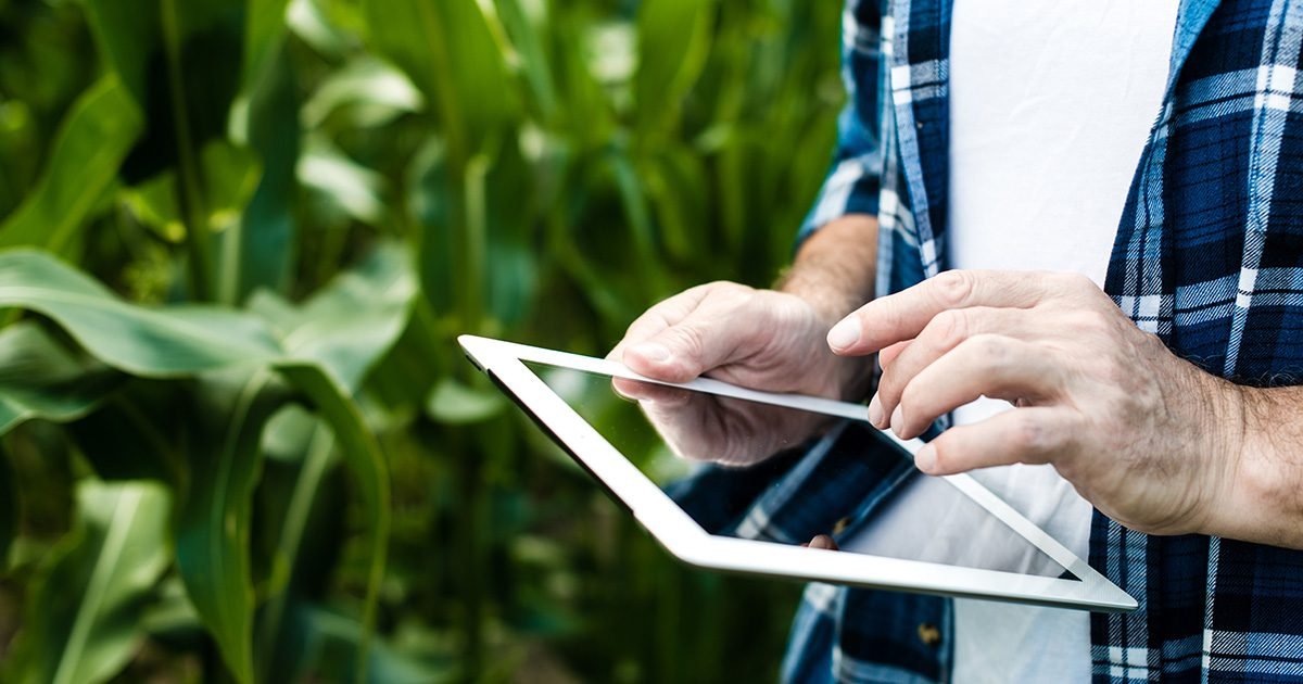 Inovação no agronegócio: da porteira ao consumidor final