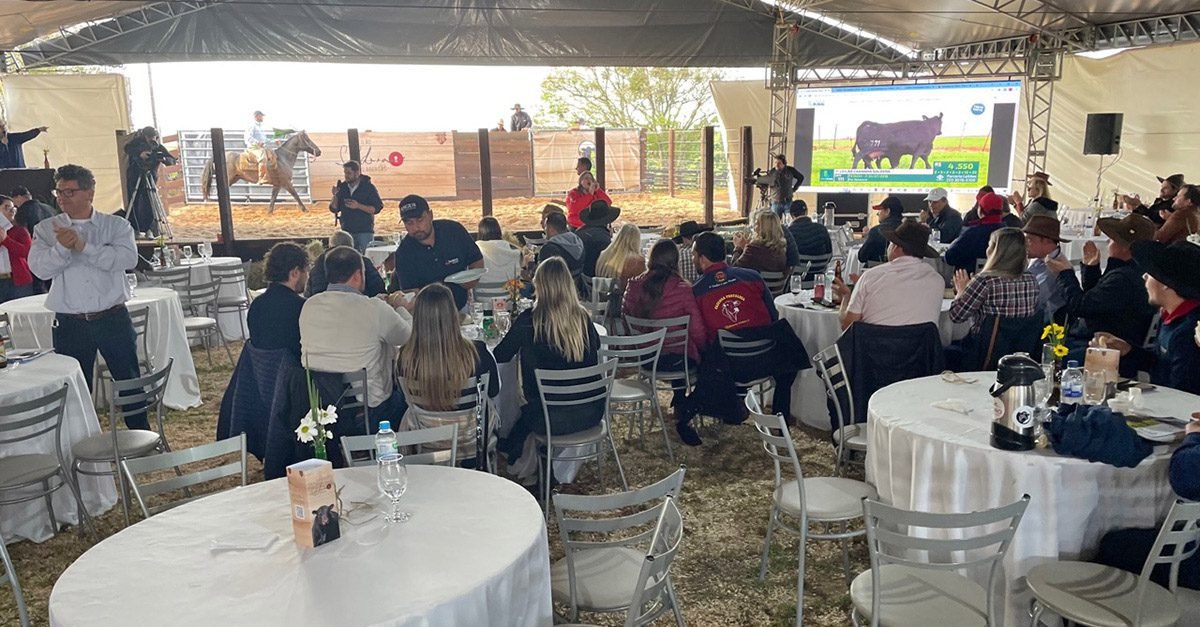 Soldera estreia com médias aquecidas na Temporada de Primavera