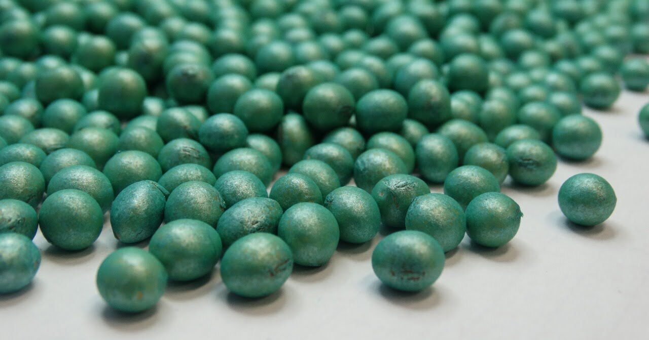 Solução biológica da BASF é destaque durante o Congresso de Nematologia 2022