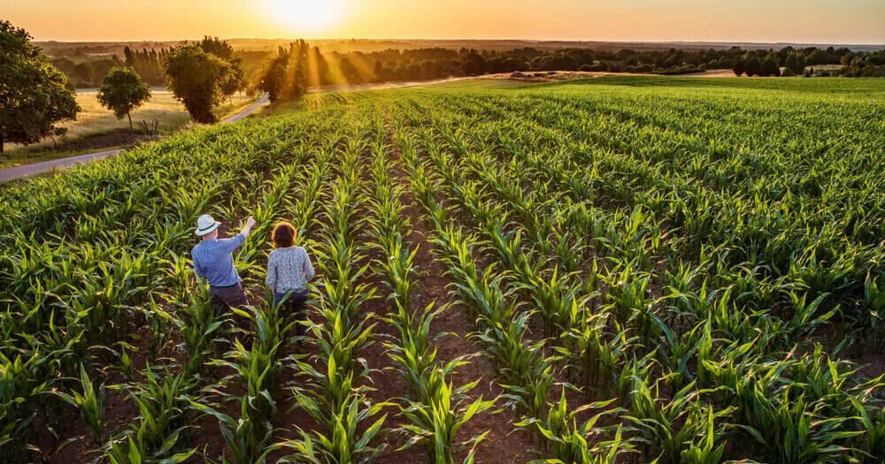 O que pode ser patenteado na seara do agronegócio?