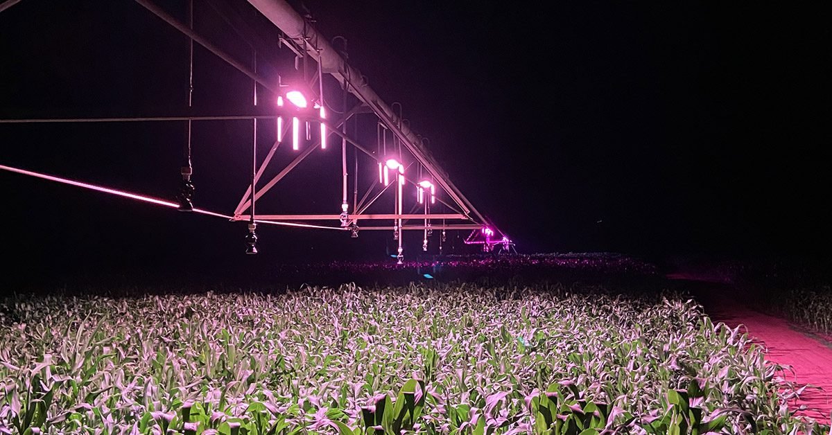 Nortel lança solução de suplementação luminosa para agricultura extensiva