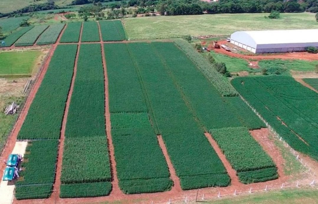 Cruz Alta conta com centro de inovação da ICL credenciado pelo MAPA