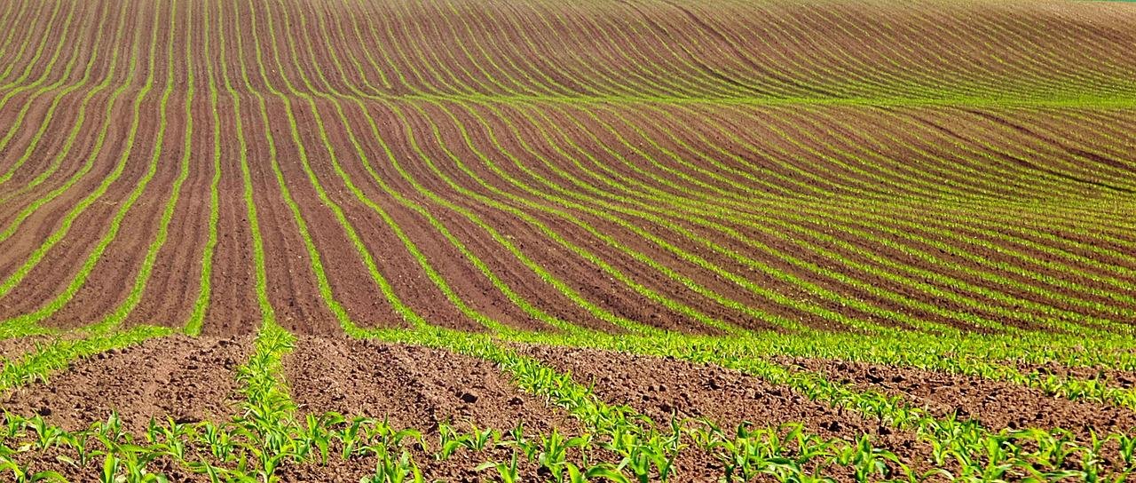 Novo conceito de semeadura inteligente estará em debate no XXI CB Sementes