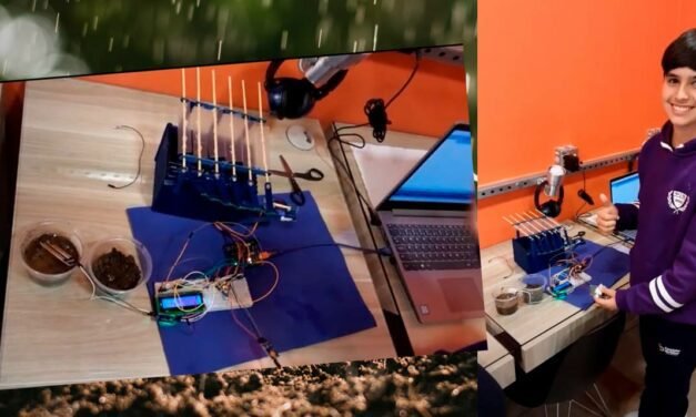 Adolescente de Caxias do Sul cria teto retrátil para controle da umidade do solo