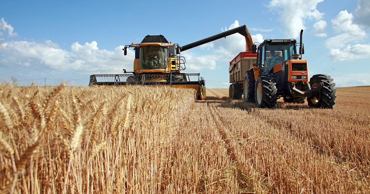 Congresso da Abitrigo aponta novas tendências de consumo, inovações e tecnologias para o mercado do trigo