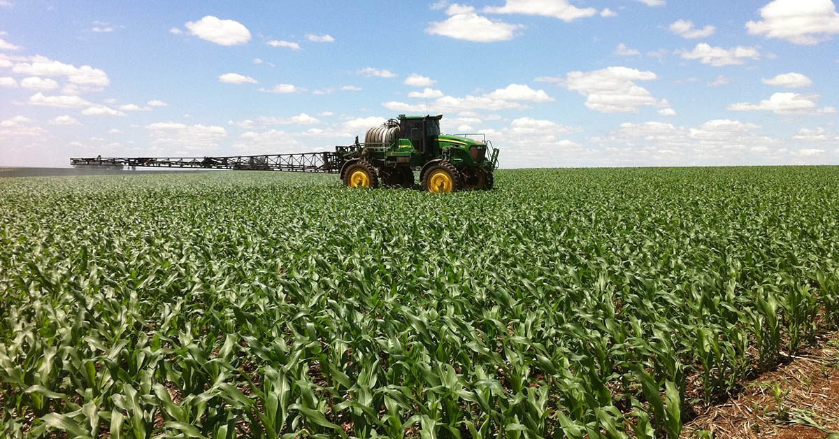 Dessecação: orientações para prevenir ervas daninhas nas lavouras