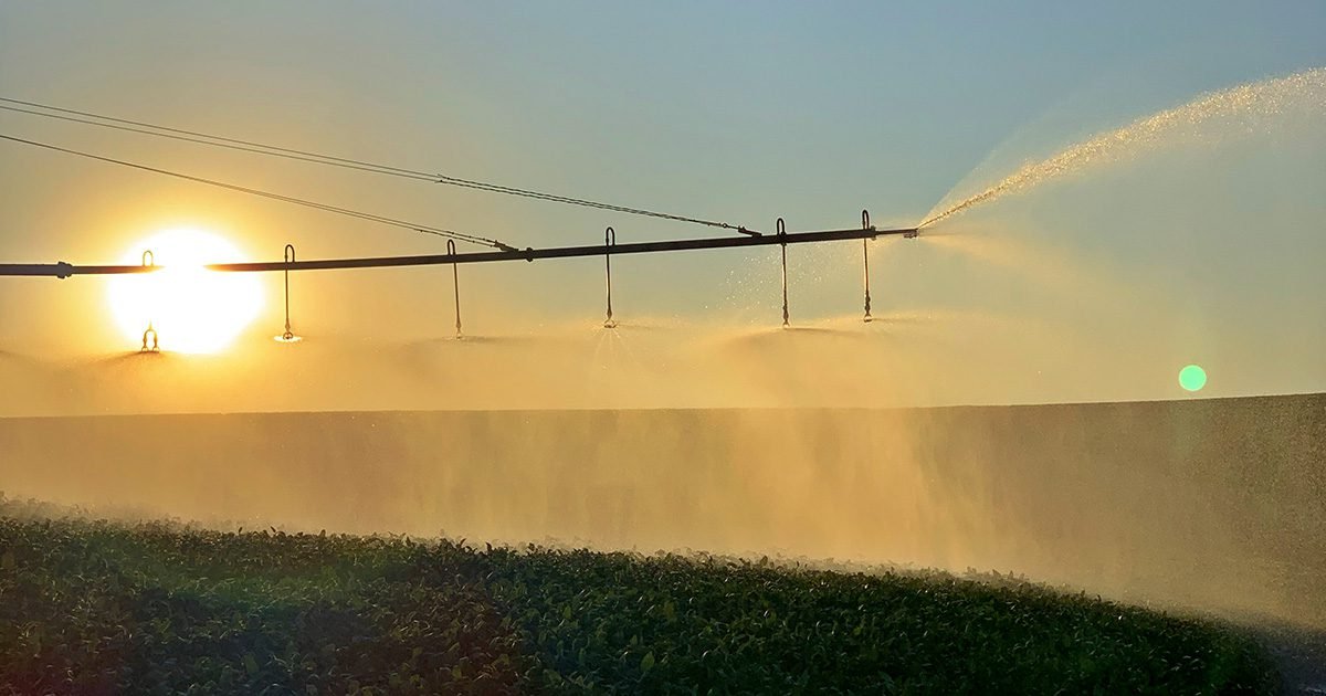FENATRIGO: 1º Fórum Gaúcho da Irrigação