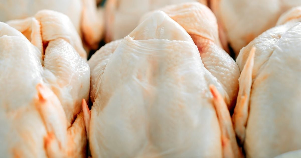 Receita com frango exportado para o país-sede da Copa do Mundo 2022 aumenta 81% entre janeiro a agosto