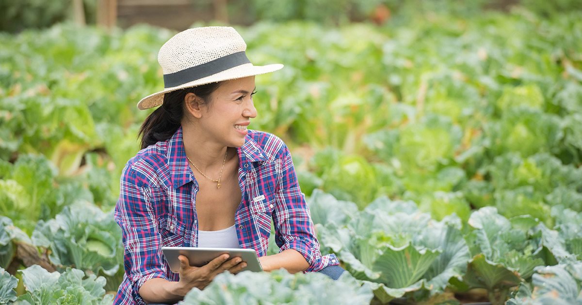 Pesquisa busca compreender os desafios e a atuação de mulheres e jovens do agronegócio