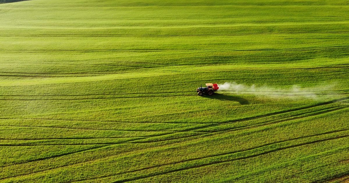 Uso de sulfato de cálcio eleva produção da soja no Oeste do Paraná