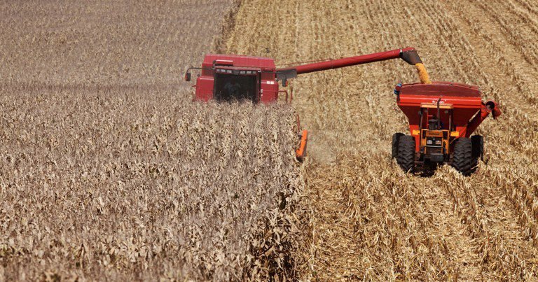 Valor da produção agropecuária de 2022 está estimado em R$ 1,207 trilhão