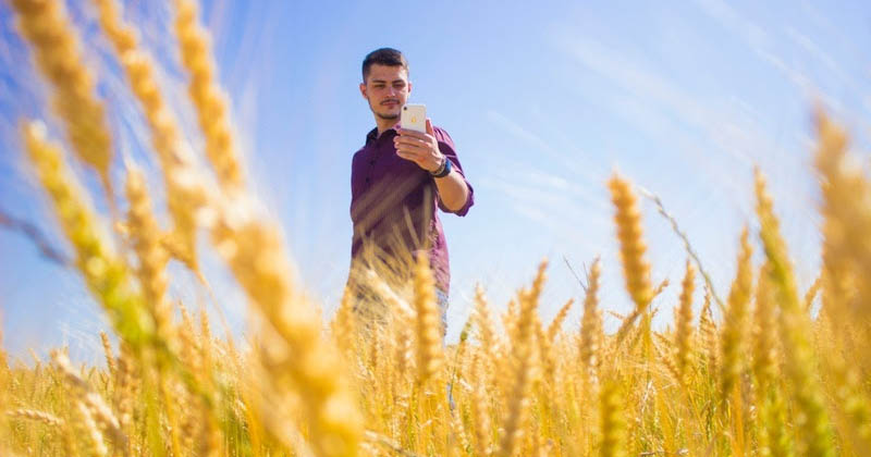 Ferramenta digital conecta produtores e fornecedores para cotação de produtos agrícolas