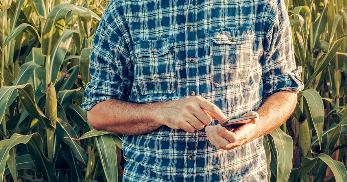 A previsão do tempo do produtor rural disponível por aplicativo