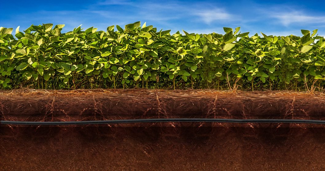 BASF anuncia parceria inovadora com NaanDanJain para promover manejo sustentável na agricultura brasileira