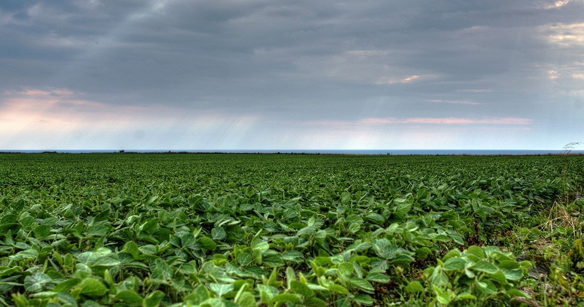 Seca fica mais branda e recua na região Sul de acordo com o Monitor de Secas
