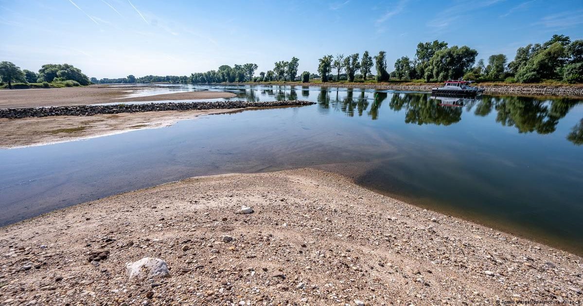 Alertas e lições que a seca na Europa traz para a agricultura brasileira